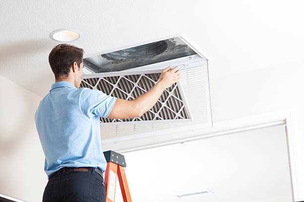 Best Air quality test  in Edina, MN
